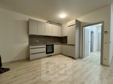 Pronájem bytu, 1+kk, 44 m²
