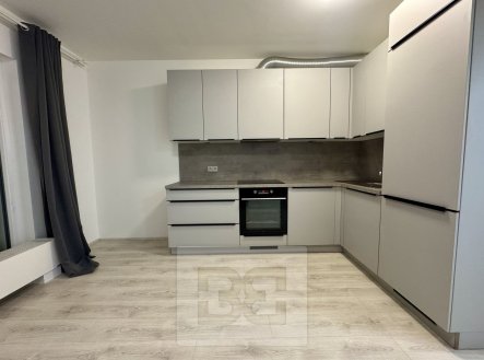 Pronájem bytu, 1+kk, 44 m²