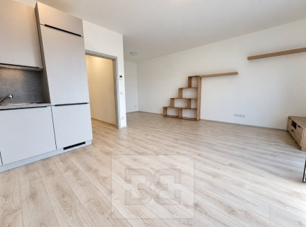 Pronájem bytu, 1+kk, 44 m²