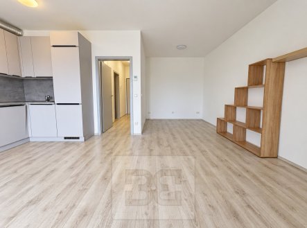Pronájem bytu, 1+kk, 44 m²
