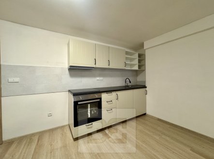 Pronájem bytu, 1+kk, 65 m²