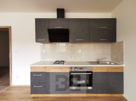 Pronájem bytu, 1+kk, 58 m²