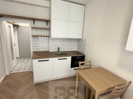 Pronájem bytu, 1+kk, 23 m²