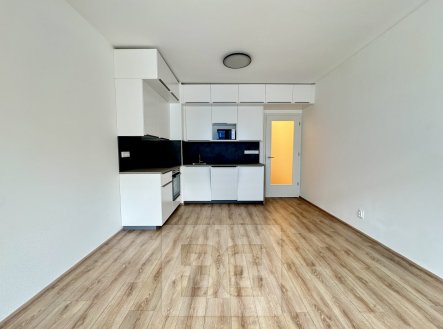 IMG_0430 | Pronájem bytu, 1+kk, 35 m²