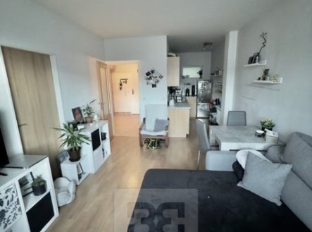 Pronájem bytu, 2+kk, 47 m²