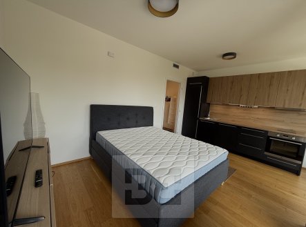 Pronájem bytu, 1+kk, 32 m²