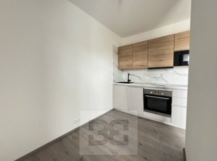 Pronájem bytu, 1+kk, 28 m²