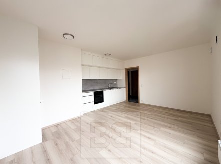 Pronájem bytu, 2+kk, 45 m²