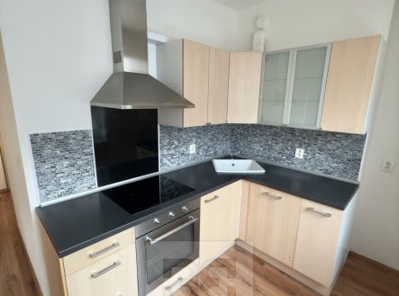 IMG_0407 | Pronájem bytu, 2+1, 53 m²