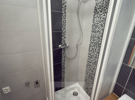 Pronájem bytu, 2+1, 53 m²