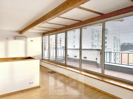Pronájem bytu, 4+kk, 153 m²