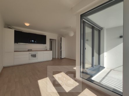 Pronájem bytu, 1+kk, 37 m²