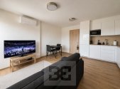 Prodej bytu, 1+kk, 66 m²