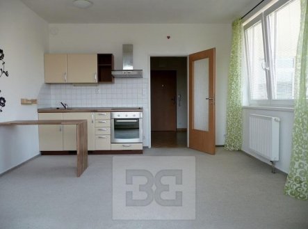Pronájem bytu, 1+kk, 41 m²