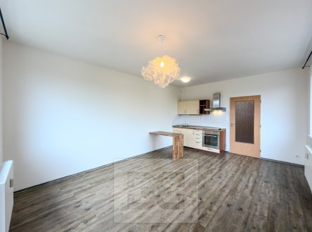 Pronájem bytu, 1+kk, 41 m²
