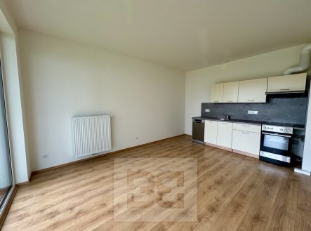 Pronájem bytu, 2+kk, 43 m²