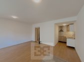 Pronájem bytu, 1+kk, 38 m²