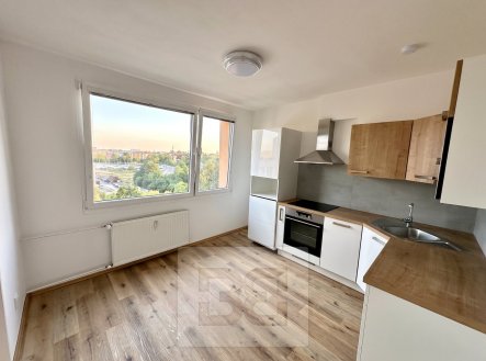 Pronájem bytu, 1+1, 39 m²