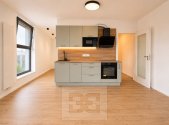 Pronájem bytu, 1+kk, 40 m²