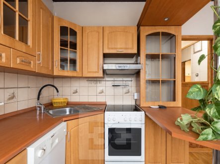 Pronájem bytu, 1+1, 41 m²