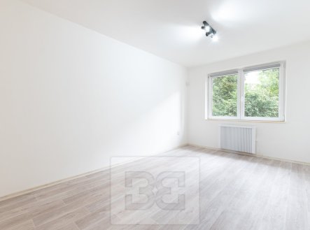 Pronájem bytu, 1+1, 27 m²