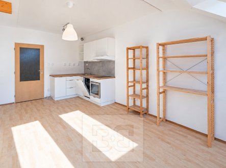 Prodej bytu, 1+kk, 30 m²