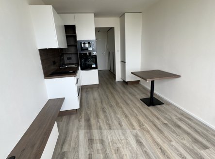 Pronájem bytu, 1+kk, 23 m²