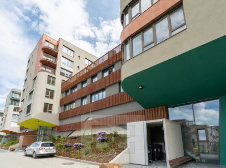 Pronájem