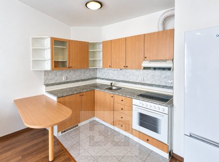 Pronájem bytu, 1+kk, 43 m²