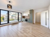 Pronájem bytu, 1+kk, 31 m²