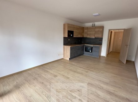 Pronájem bytu, 1+kk, 45 m²