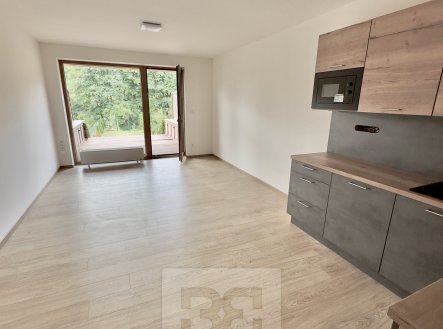 Pronájem bytu, 1+kk, 45 m²