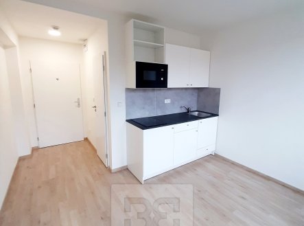 Pronájem bytu, 1+kk, 17 m²