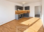 Pronájem bytu, 2+kk, 54 m²