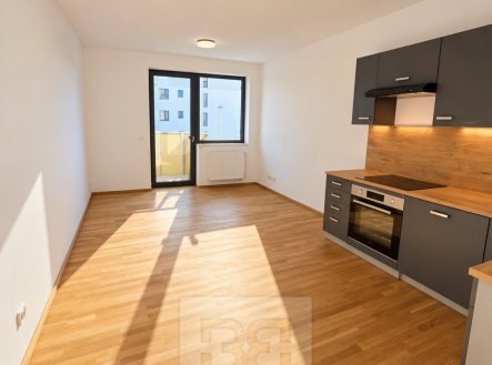 Pronájem bytu, 2+kk, 54 m²