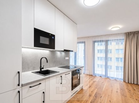 Prodej bytu, 1+kk, 48 m²