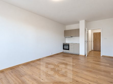 Pronájem bytu, 1+kk, 29 m²