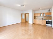 Pronájem bytu, 1+kk, 42 m²