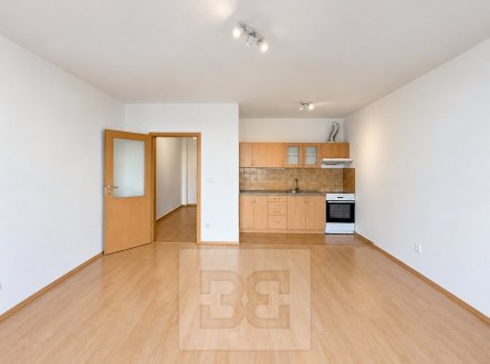 Pronájem bytu, 1+kk, 42 m²