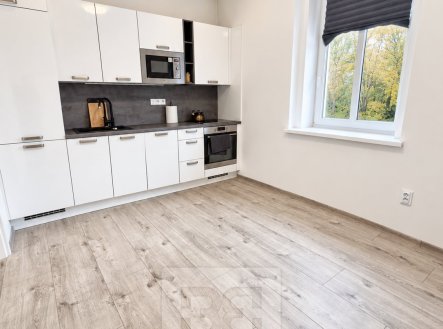 Pronájem bytu, 1+1, 45 m²