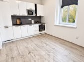 Pronájem bytu, 1+1, 45 m²