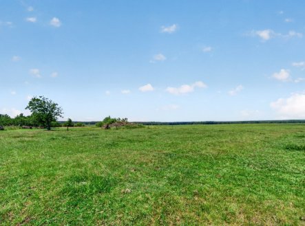 Prodej pozemku pro bydlení, 1 168 m²