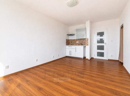 Pronájem bytu, 1+kk, 29 m²