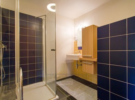 Prodej domu/vily, 410 m²