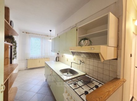 Pronájem bytu, 1+1, 42 m² obrázek