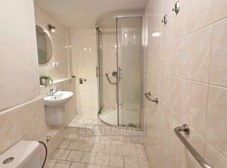 Pronájem bytu, 1+1, 42 m²