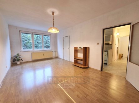 Pronájem bytu, 1+1, 42 m²