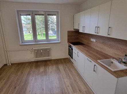 Pronájem bytu, 1+1, 46 m²