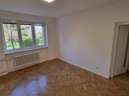 Pronájem bytu, 1+1, 46 m²