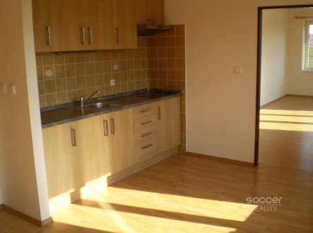 Pronájem bytu, 1+1, 51 m²